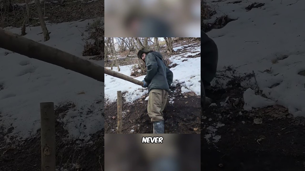 Man Builds Shelter in Forest...(@ramizinthewild)