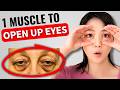 Plastic Surgeons DON'T Tell You This: Fix Hooded Eyes & Bags (NO SURGERY!)