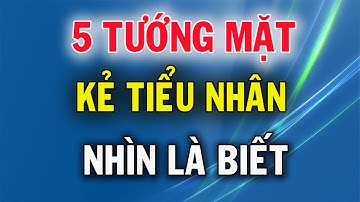 5 Tướng Mặt Của Kẻ Tiểu Nhân Nhìn Là Biết