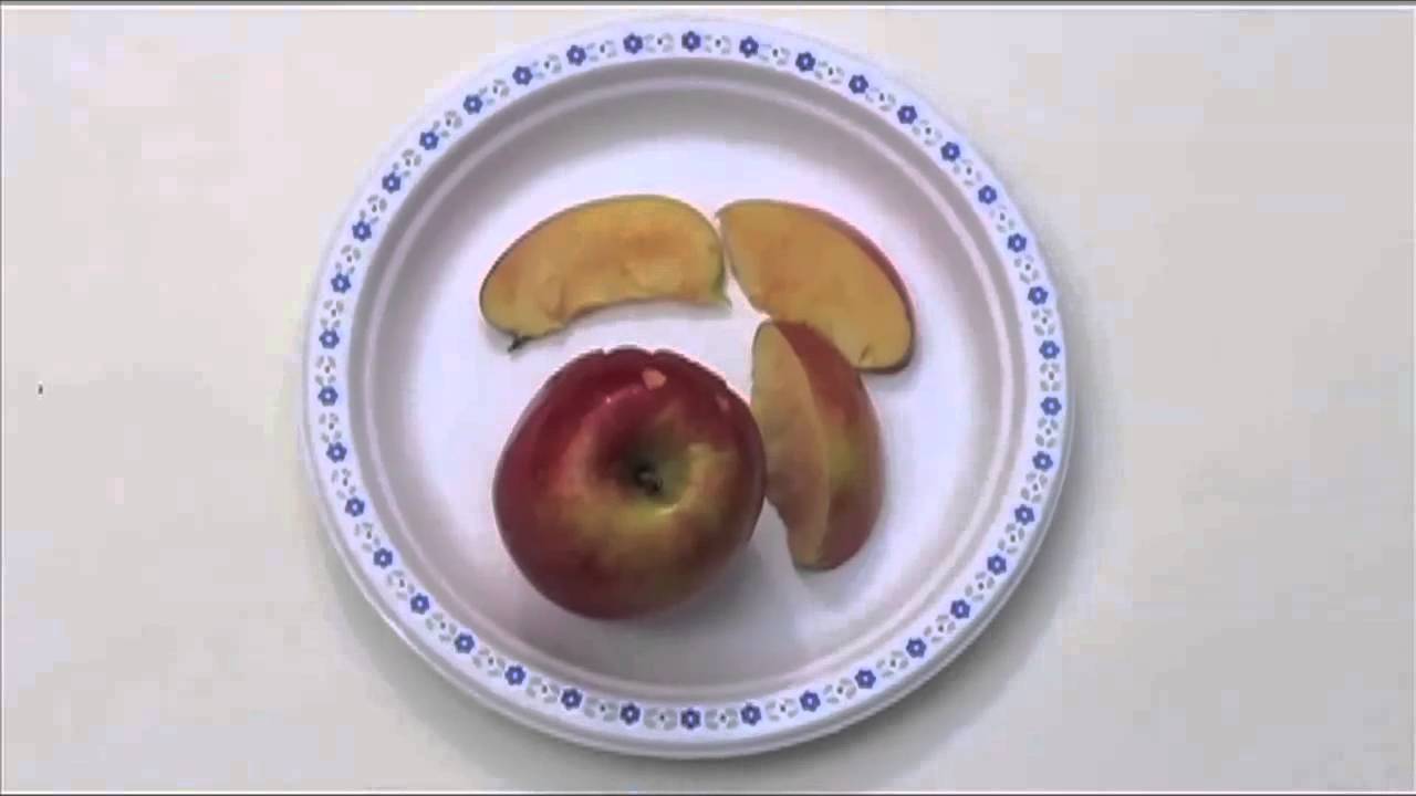 AutoMovie: Food Attack