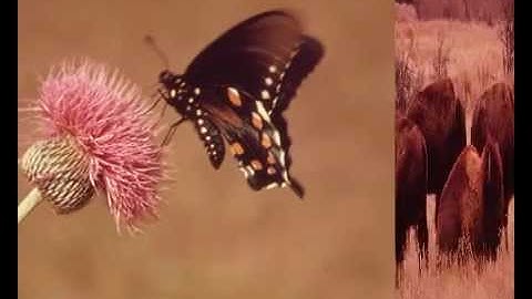 Passive Aggressive Personality