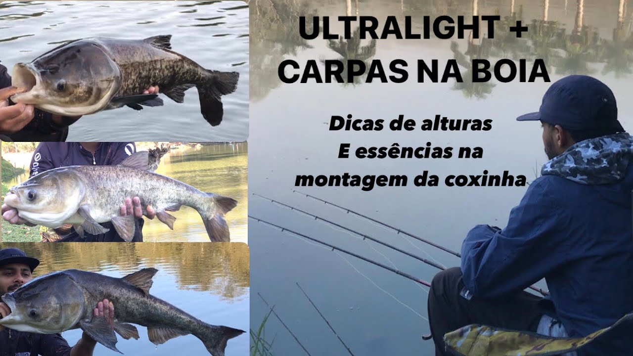 PESQUEIRO TAMUATOA, MAIS UMA VEZ MOSTRANDO SUA QUANTIDADE DE CARPAS