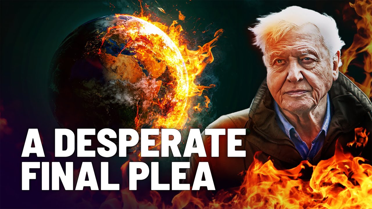 David Attenborough's Final Warning To Humanity | A Life On Earth