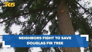 Maple Leaf neighbors fight to save Douglas fir tree from being cut down