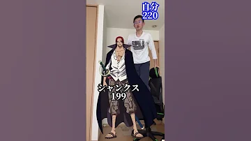 ワンピースの四皇身長バグりすぎやろ 勝てません ワンピース Onepiece 