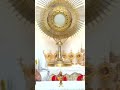 Divine UK: It is very difficult to forgive our own family members or those whom we love most.