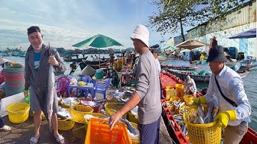 Cảng Cá An Thới Phú Quốc 2025 Sáng Sớm Hàng 100 Tấn Cá Cặp Bến Đông Nghẹt Thương Lái
