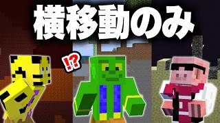 2Dの世界でエンドラ討伐できるまで終われません【マイクラ】