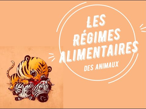 Vidéo: 5 Raisons Pour Lesquelles Les Régimes Alimentaires Des étapes De La Vie Aident à Améliorer La Santé Des Animaux De Compagnie