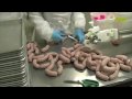 view The Art of Sausage Making digital asset number 1