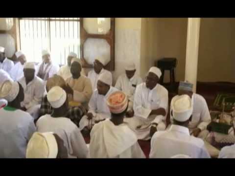 إفتتاح مولد الحبيب علي الحبشي