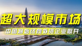 中国的超大规模市场将始终向外资企业敞开 「央视财经评论」20240429 | 财经风云