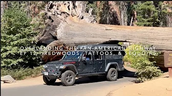 Overlanding the Pan-American Highway - Ep 12:  California wild camps, big trees, & tattoos.