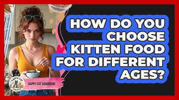 How Do You Choose Kitten Food For Different Ages? - Happy Cat Handbook