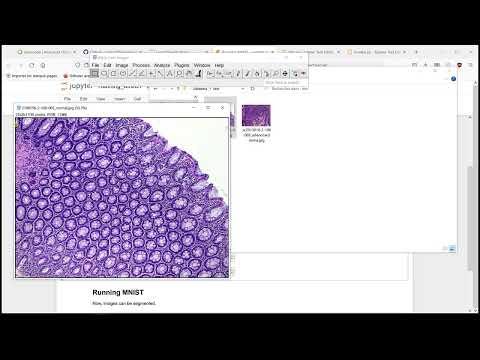 Deep learning for biologists - Classification - MNIST processing