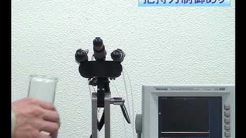 Slip detection and grasping force adjustment