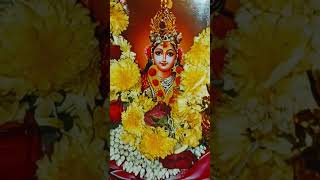 lakshmi pooja at home #lakshmidevi  #viral