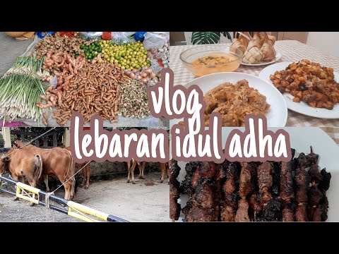 Petunjuk Memasak VLOG IDUL ADHA 2023 | EDISI LEBARAN HAJI | MASAK MENU LEBARAN IDUL ADHA 2023 Yang Bernutrisi Baik