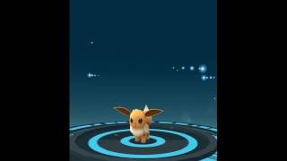 Pokemon Go Eevee Evolution Generation 2 New