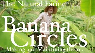 Banana Circles - John Kaisner The Natural Farmer