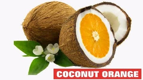 orange coconut  photoshop manipulation - balajidesign1000