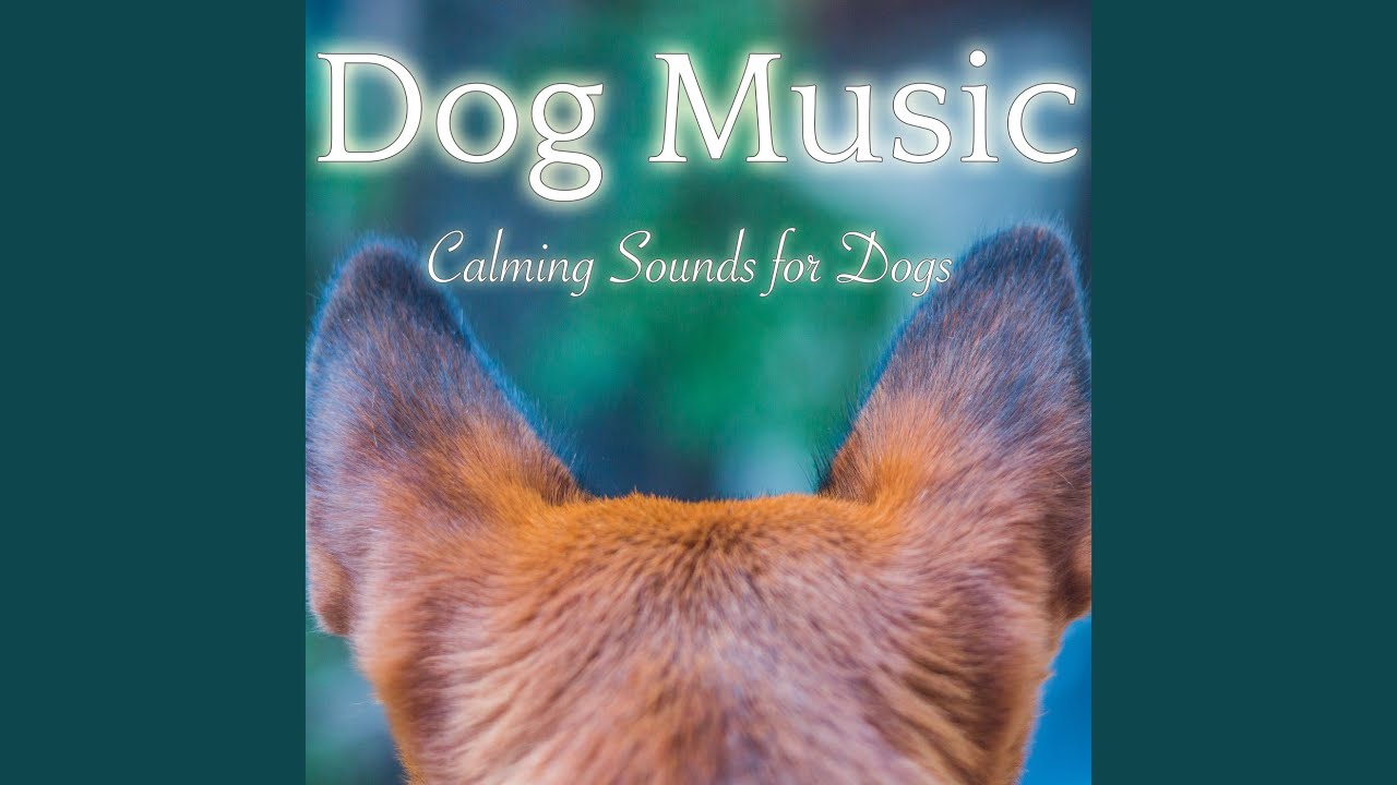 dog music dreams & relaxmydog