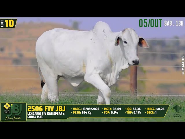 LOTE 10   JBJ 2506