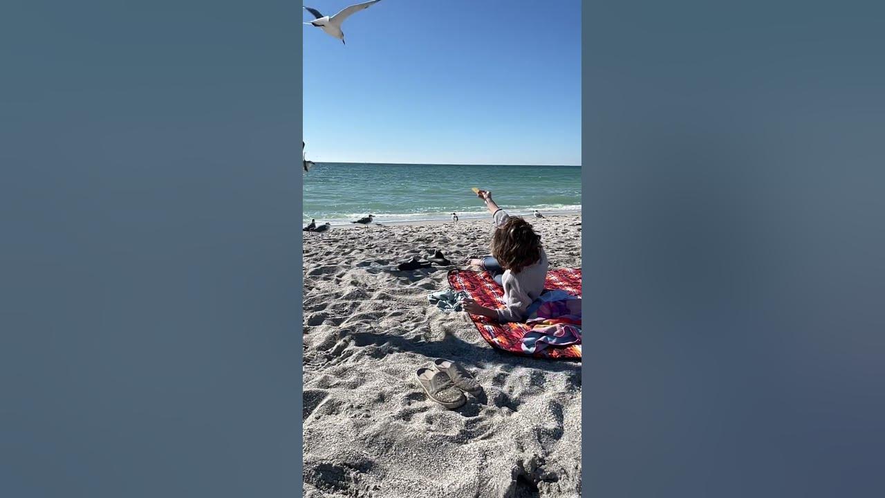 Song for a Seagull  #animals