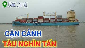 Cận Cảnh Những Chiếc Tàu Container Nặng Nghìn Tấn Ra Vào Cảng Cát Lái I ĐƯỜNG PHỐ SÀI GÒN