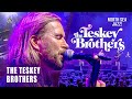 The teskey brothers  live at north sea jazz 2023