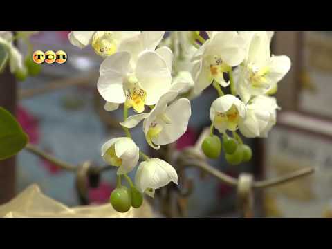 Искусственные цветы оптом Искусственные цветы оптом