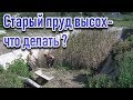 Старый пруд высох - что делать ?