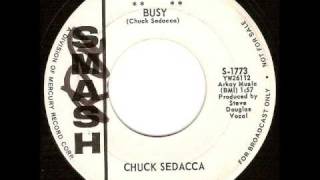 Video thumbnail of "Chuck Sedacca - Busy"