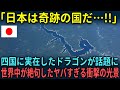 【海外の反応】「日本は奇跡の国に違いない」四国に実在したドラゴンが世界中で話題になった理由