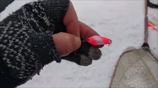 Ураганный клев на первом!!!Клевое Место д.Савельево