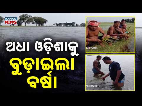 ଅଧା ଓଡ଼ିଶାକୁ ବୁଡ଼ାଇଲା ବର୍ଷା Odisha Flood | Heavy Rain Disrupts Life, Subarnarekha Water Level Rises