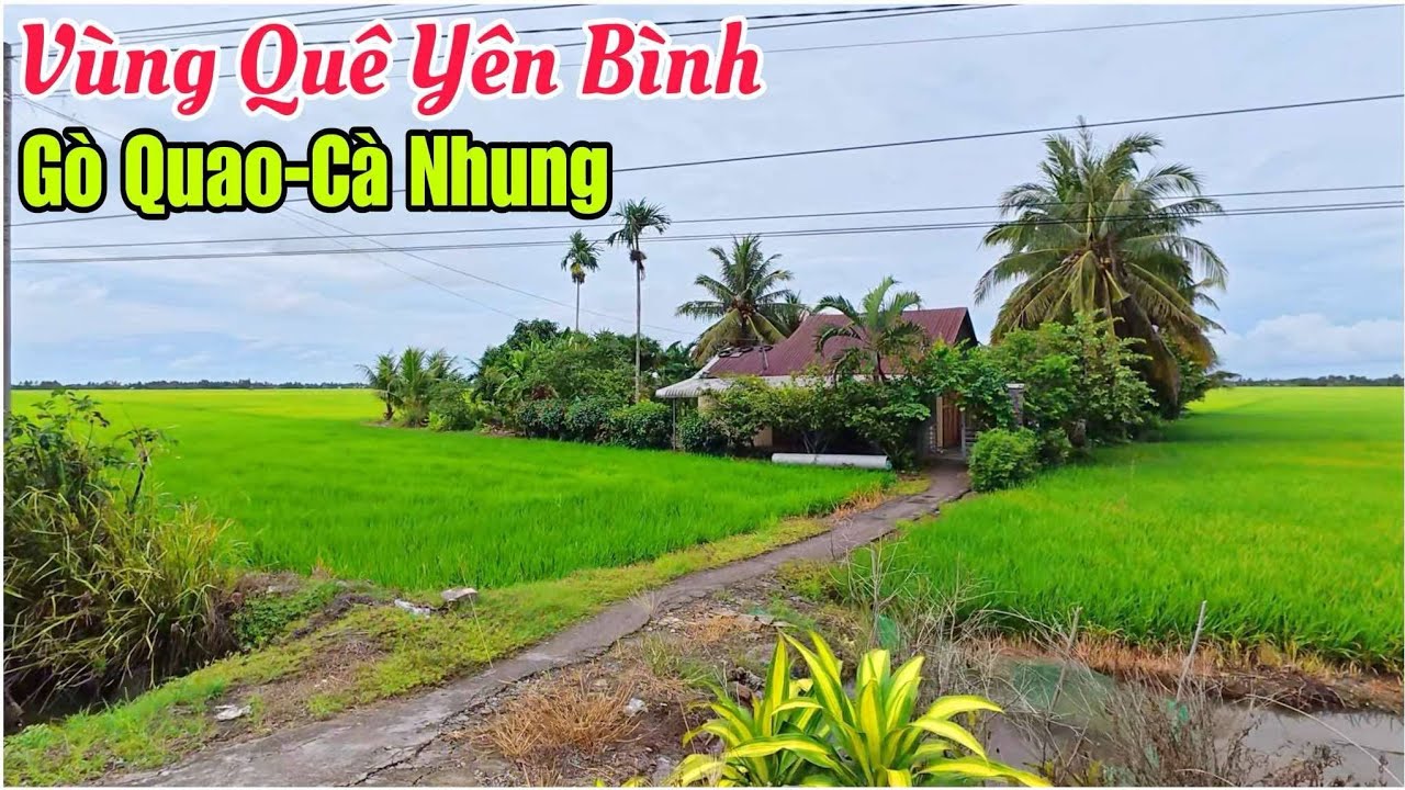 Khám Phá khu Vực Gò Quao Cà Nhung - Vùng Quê Yên Bình | Lâm Ái Vlog