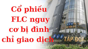 Vướng nguy cơ bị đình chỉ giao dịch, cổ phiếu FLC mất bao lâu để trở lại?