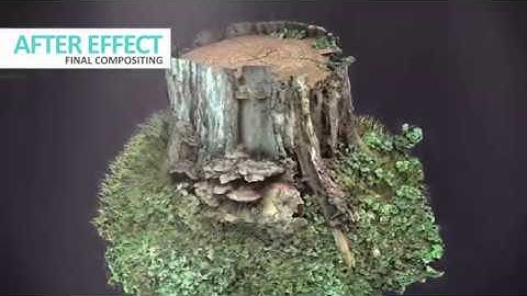 Dead tree stump photogrammetry HD