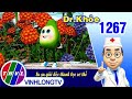 Dr. Khỏe - Tập 1267: Su su giải độc thanh lọc cơ thể