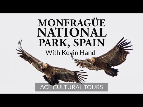 Monfrague National Park, Spain with Kevin Hand | ACE Cultural Tours