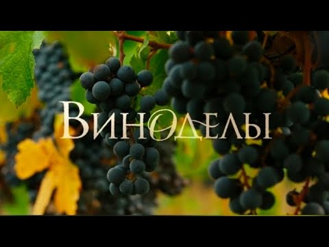The TV series "Winemakers." Strengths and bloopers 🍇🍇🍇