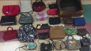 Accused Serial Burglar Arrested For Allegedly Stealing Almost $100K Worth Of Designer Handbags