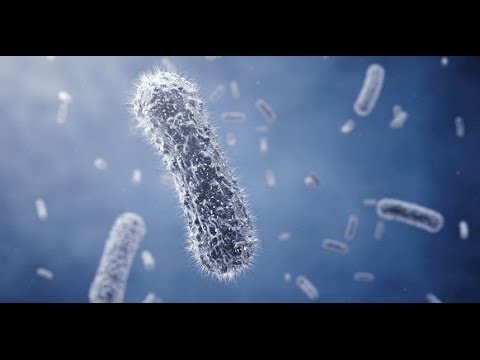 Video: Incenso E Mirra - Antibiotico E Allucinogeno - Visualizzazione Alternativa