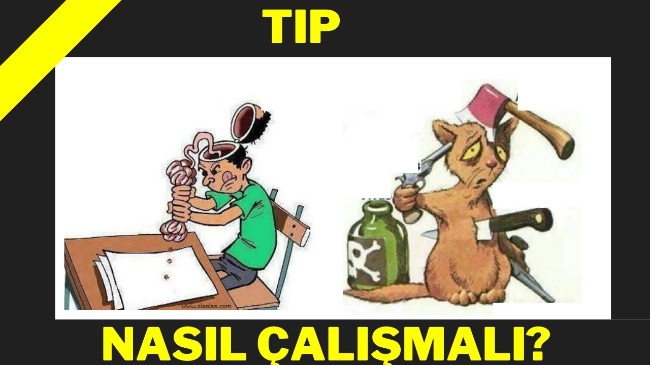 37 500 Tıp, 1013, Nasıl Çalışmalı, Prof.Dr.Serdar Akgün, Serdar Akgün Tıp Videoları