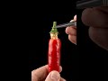 Chili Stem Removal ASMR 🌶️ Tweezers Pull Out the Stem in Ultra Macro Detail