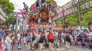 2023.5.05 東灘区  野寄區 だんじり 本住吉神社  宮入り(参道 トバセ～練り回し） 庄内地区