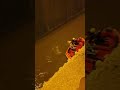❗️ В Хайфе автомобиль затонул в подземном переходе после ночного ливня | ТГ-канал Город Х