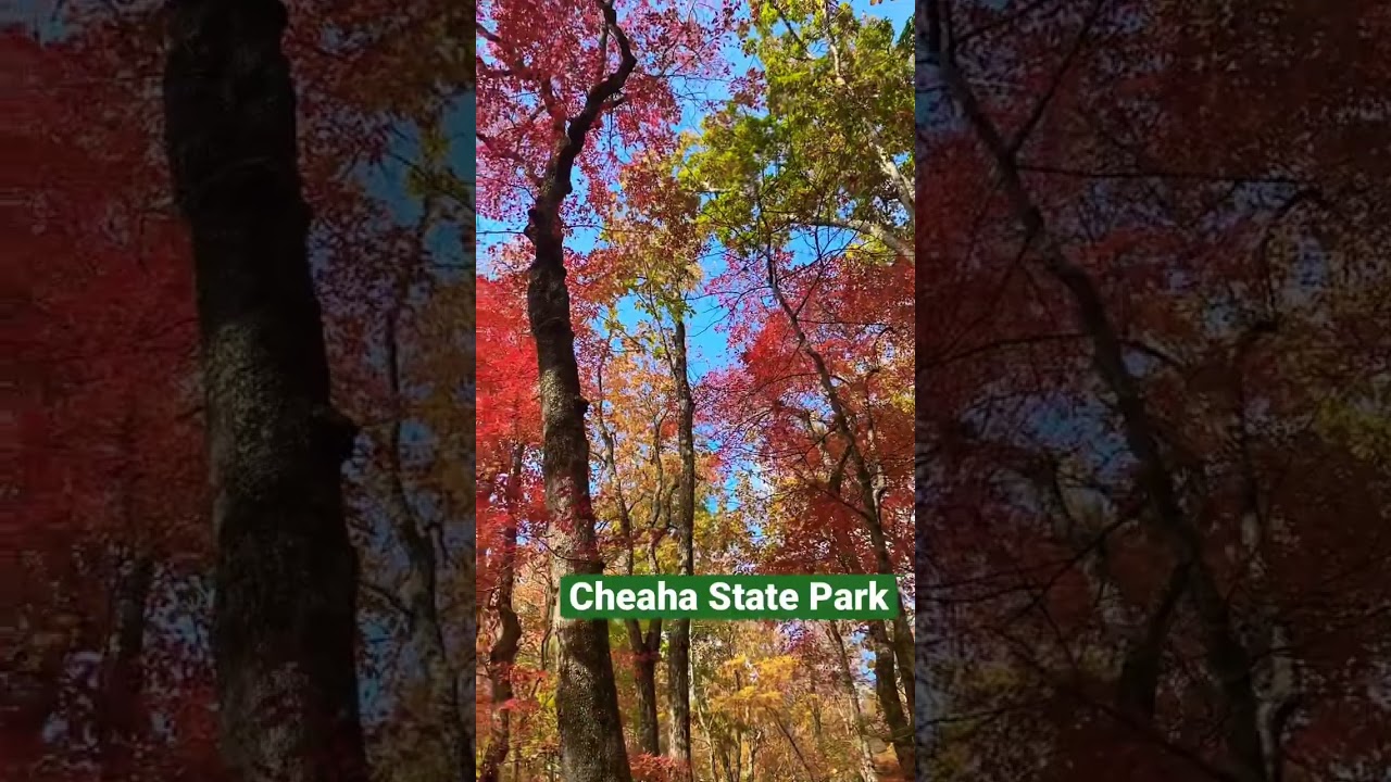 Fall in Cheaha State Park, Alabama