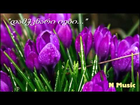 დამჭკნარი იები (საუკეთესო ვერსია) / Damchknari iebi (HD)